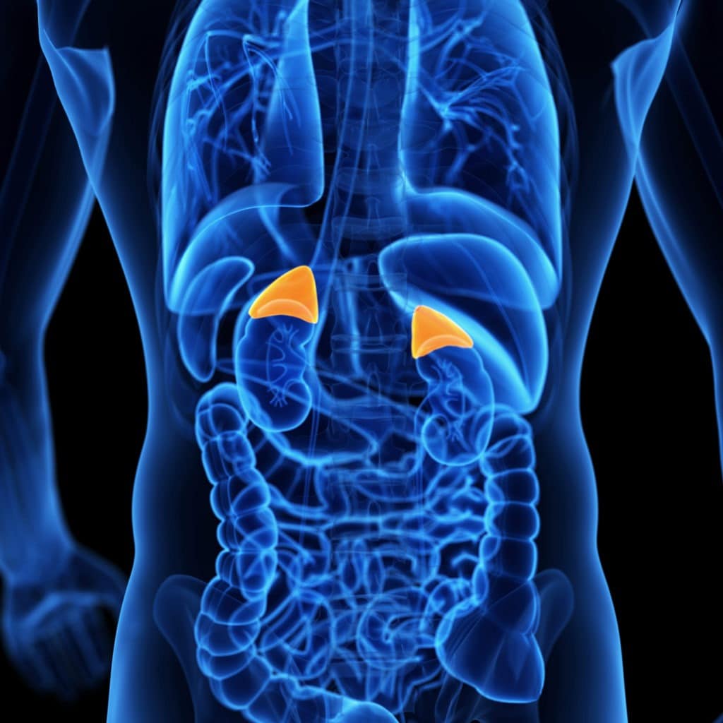 Adrenal gland disorder specialists, Endocrine & Diabetes Plus Clinic of Houston